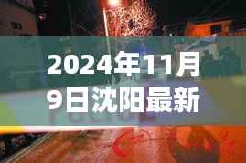 沈阳杀人案背后的友情与陪伴故事,日常温馨背后的真相(2024年)