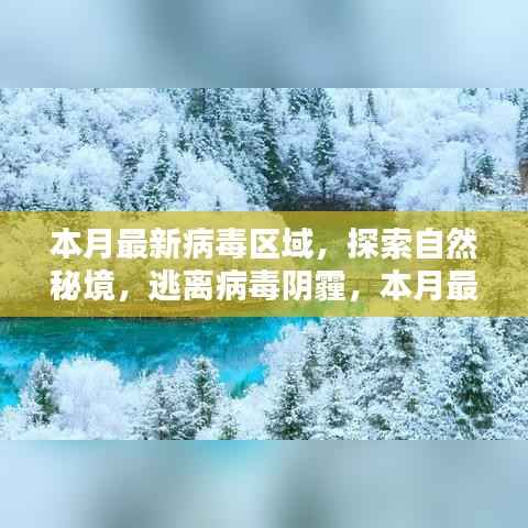 本月病毒区域探索与心灵净化区指南,逃离阴霾,追寻自然秘境的奇迹