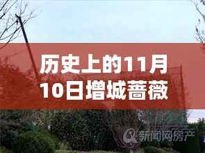 历史上的11月10日增城蔷薇国际房价揭秘，最新价格一览表！