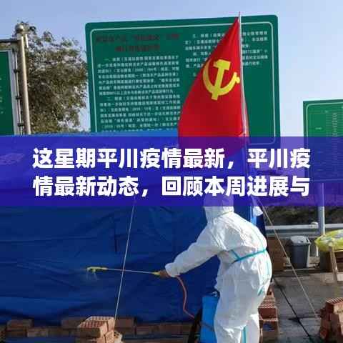 本周平川疫情最新动态回顾,进展与影响概览