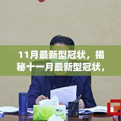 揭秘十一月最新型冠状，科学解读、应对策略与未来展望