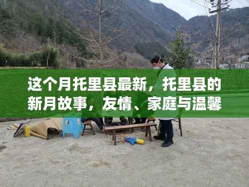 托里县新月故事,友情、家庭与温馨的绽放时刻