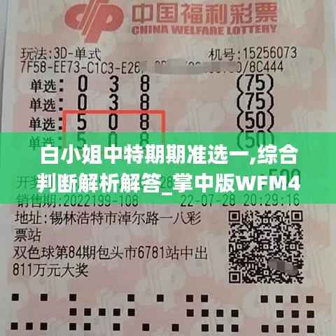 白小姐中特期期准选一,综合判断解析解答_掌中版WFM438.22
