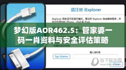 梦幻版AOR462.5:管家婆一码一肖资料与安全评估策略