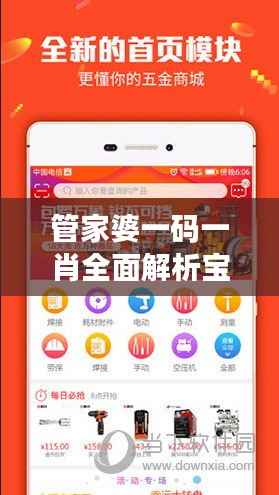 管家婆一码一肖全面解析宝典,国际版XUY181.84深度揭秘