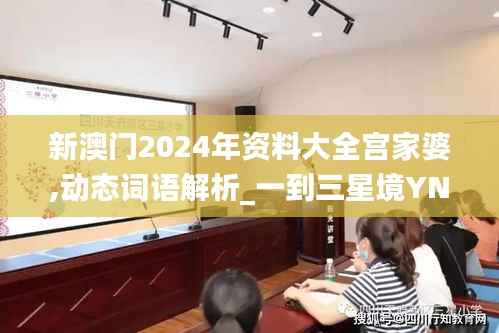 新澳门2024年资料大全宫家婆,动态词语解析_一到三星境YNO253.37