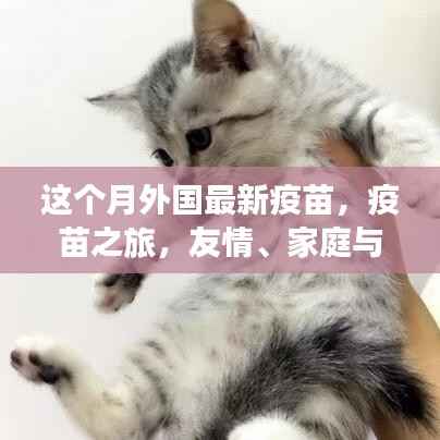 废寝忘食 第26页