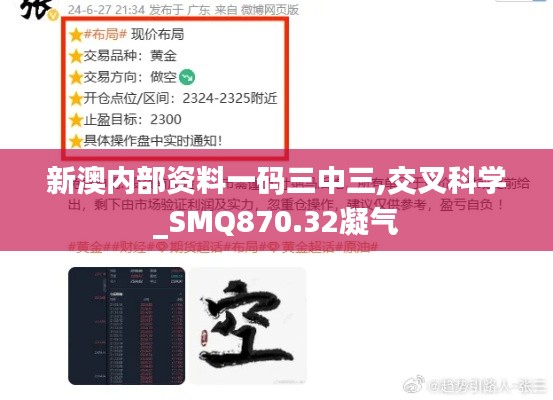 新澳内部资料一码三中三,交叉科学_SMQ870.32凝气