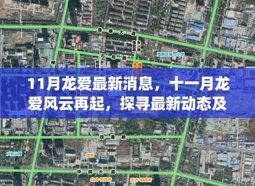 十一月龙爱风云再起,最新动态与时代地位探寻