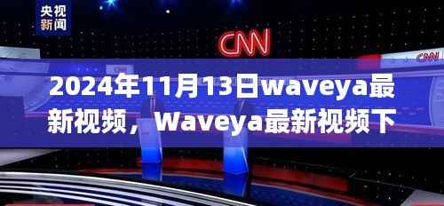 2024年11月13日Waveya最新视频观察,独特视角下的思考