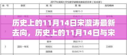 多维度视角下的探讨,宋漩涛的最新去向与历史上的11月14日揭秘