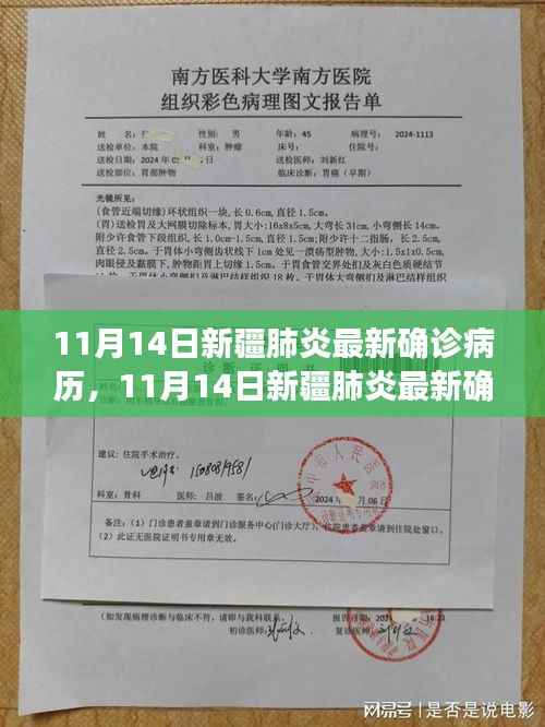 新疆肺炎最新确诊病历动态分析与更新(11月14日)