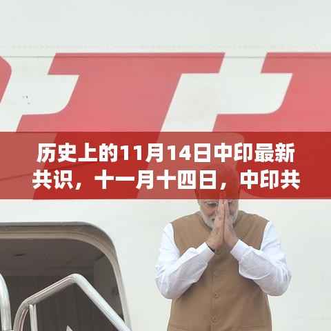 中印共识绘未来，十一月十四日的新篇章达成，希望符合您的要求，您也可酌情调整。