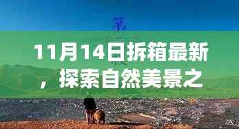 11月14日最新拆箱体验,自然美景之旅,寻找内心的宁静与喜悦
