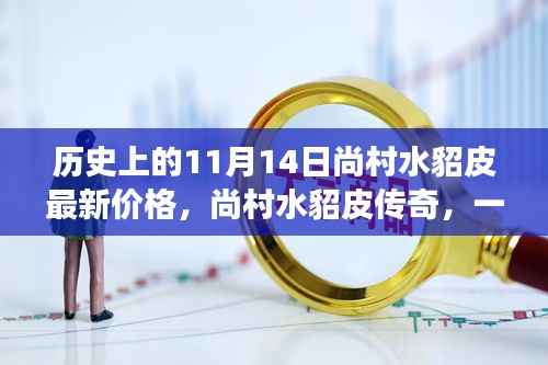 温馨探秘之旅,尚村水貂皮传奇与最新价格揭秘(历史篇)