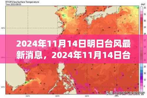 台风最新消息深度评测,特性、体验、竞品对比与用户分析(2024年台风动态)