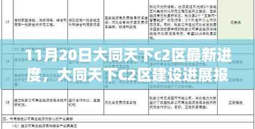 大同天下C2区建设最新进度报告（11月20日更新），细节揭秘与进展解读