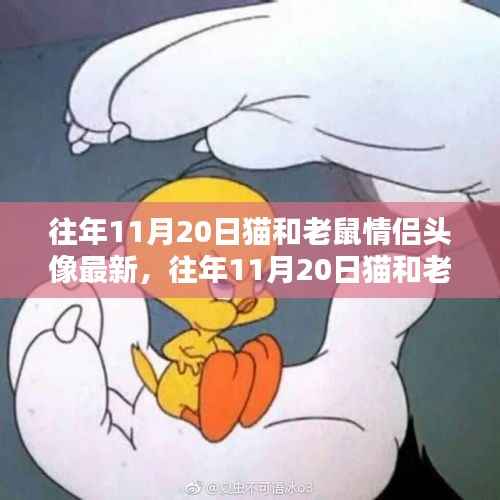 往年11月20日猫和老鼠情侣头像最新深度测评与介绍