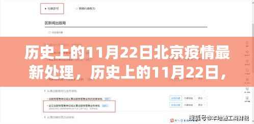 历史上的11月22日北京疫情处理进展与启示,最新进展与启示总结报告