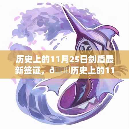 揭秘剑盾最新签证背后的故事,历史上的11月25日回顾与解析🔍