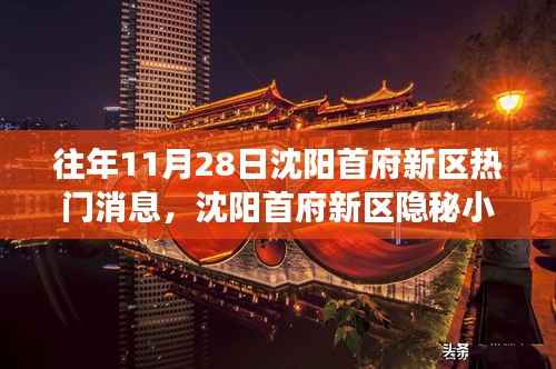 沈阳首府新区隐秘宝藏小店，揭秘往年11月28日的热门故事