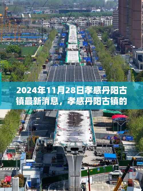 孝感丹阳古镇秋日奇遇,最新消息与温馨时光纪实(2024年11月28日)