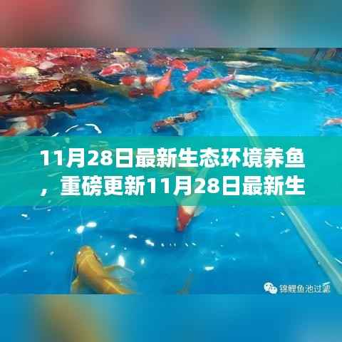 揭秘最新生态环境养鱼秘籍，打造生态鱼池新境界！