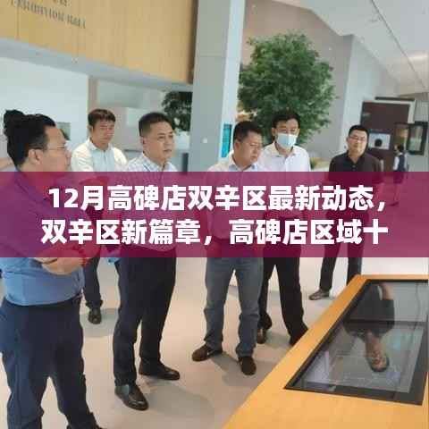 高碑店双辛区十二月最新动态深度评测,开启新篇章的区域发展动态分析