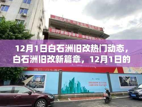 白石洲旧改新篇章,12月1日的日常与友情印记,热议动态揭秘