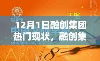 融创集团,12月1日的温馨日常与欢乐时光