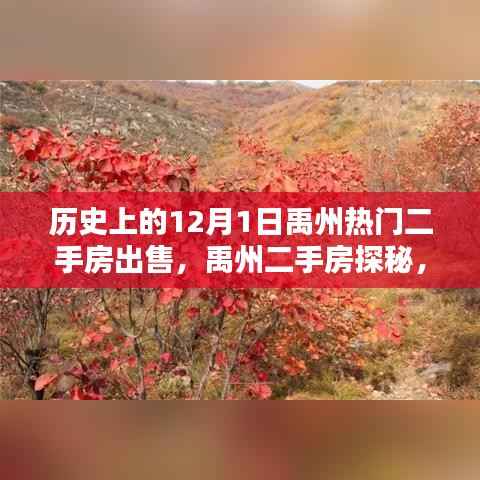 禹州二手房探秘,揭秘历史中的热门房源与自然美景的不期而遇