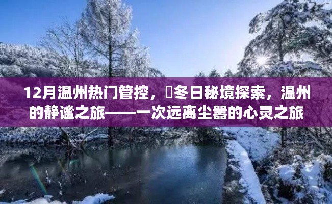 温州冬季秘境探索,静谧之旅的心灵之旅,12月热门管控下的冬日秘境体验