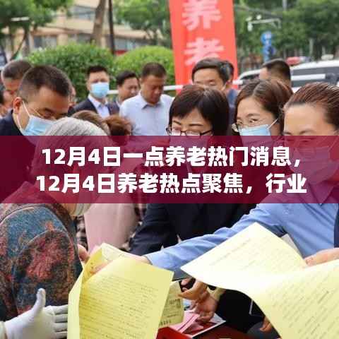 12月4日养老热点聚焦,行业动态与趋势解析