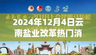 云南盐业改革新篇章,温情故事与行业动态揭秘(2024年12月4日)