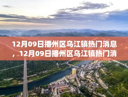 播州区乌江镇热门消息解析,我的观点与洞察