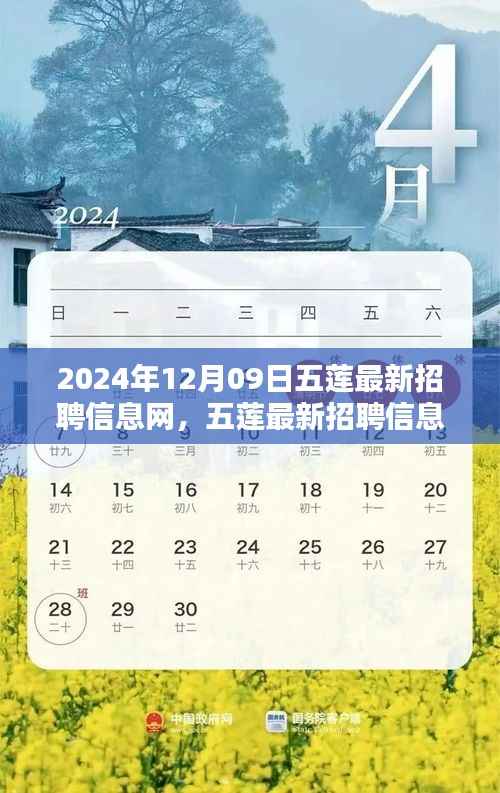五莲最新招聘信息网使用指南(初学者与进阶用户适用,发布日期,2024年12月9日)