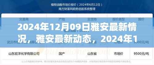雅安最新动态深度观察,2024年12月09日最新情况报告