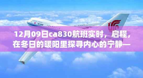 冬阳下的奇妙之旅，CA830航班探寻内心宁静的启程