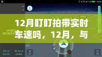 12月盯盯拍实时车速探寻美景之旅,与自然共舞,内心宁静之旅