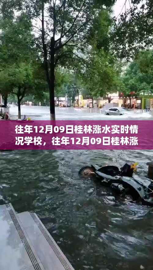 往年12月09日桂林涨水实时情况及学校应对指南,保障学生安全无忧