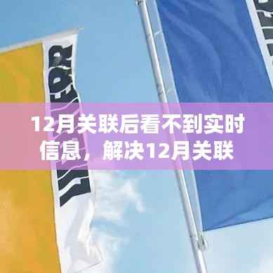 解决12月关联后实时信息无法查看问题,详细步骤指南