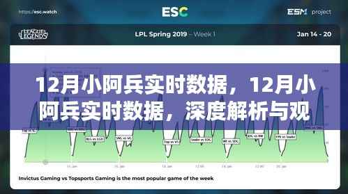 深度解析与观点阐述,12月小阿兵实时数据综述