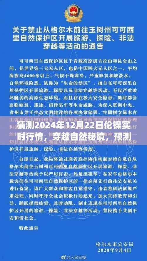 伦镍行情预测与心灵之旅,穿越自然秘境,探索2024年伦镍实时行情的奇妙交织