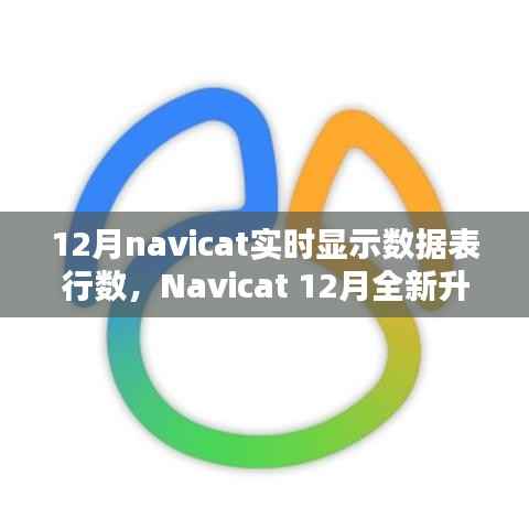 Navicat 12月升级亮点,实时数据表行数显示,科技助力数据管理便捷性