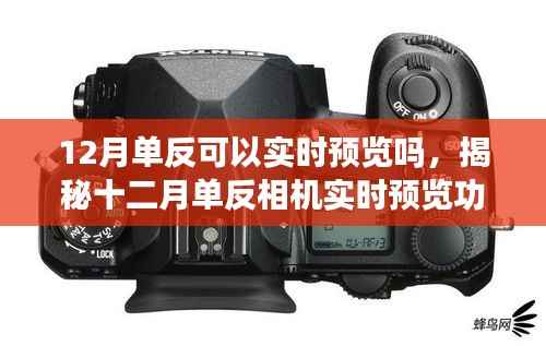 揭秘十二月单反相机实时预览功能,技术解析与应用体验