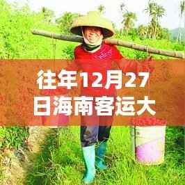 海南客运大巴车实时查询系统,历史轨迹与时代意义回顾(往年12月27日实时查询)