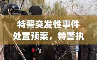 特警突发性事件处置预案，特警执勤突发事件视频 