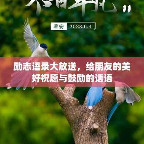 励志语录大放送,给朋友的美好祝愿与鼓励的话语