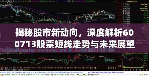 揭秘股市新动向,深度解析600713股票短线走势与未来展望