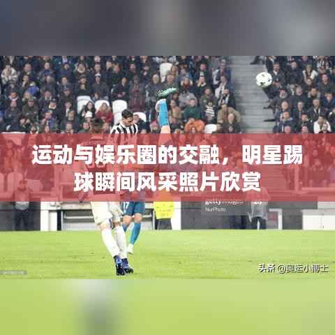 诚聘英才 第116页